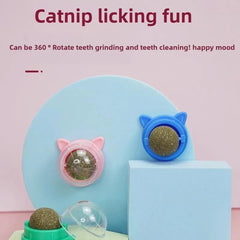 Premium Cat Toys with Catnip Active Mint Dental Sensory Sticks Self Pet Bed Ball Grinding for Indoor Cats - PetPals Store