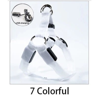 discolor-rechargable