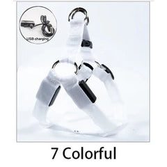 Adjustable LED Dog Harness Usb Rechargeable Flashing Night Safety No Pull Collars Harness For Small Medium Dogs Pets Arnes Perro - PetPals Store