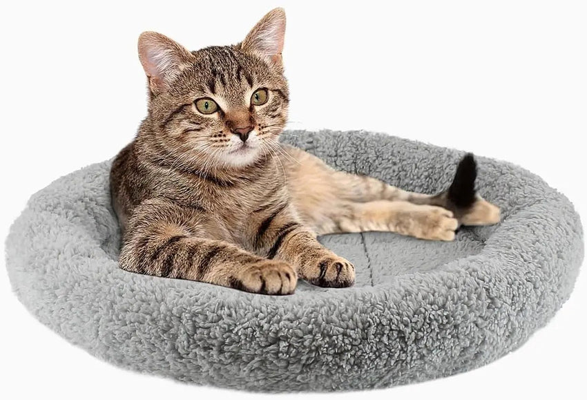 ATUBAN Cat Bed for Indoor Cats, Round Cat Bed for Curl Sleep Basic Pet Mat Wahable Bed for Small Puppy Cats Rabbit, Medium - PetPals Store