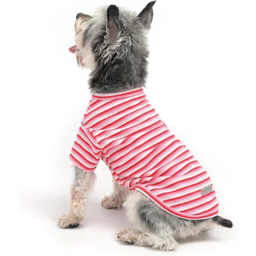 Dog TShirt for Small Medium Dogs Cotton Breathable Clothes for Girl Boy Schnauzer Chihuahua Dachshund Cat Indoor Winter Wear Pi - PetPals Store