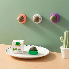 Premium Cat Toys with Catnip Active Mint Dental Sensory Sticks Self Pet Bed Ball Grinding for Indoor Cats - PetPals Store