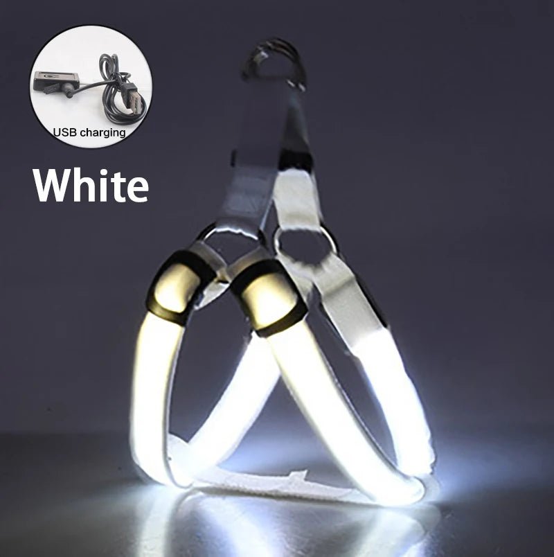 Adjustable LED Dog Harness Usb Rechargeable Flashing Night Safety No Pull Collars Harness For Small Medium Dogs Pets Arnes Perro - PetPals Store
