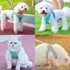 Adjustable Cat Harness Leash Escape Proof Kitten Dog Harness For Cat Small Dog Breathable Cat Harness Lead Leash Pet Accessories - PetPals Store