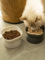 1Pc Pet bowl, water and food feeder, for cat and small dog - PetPals Store