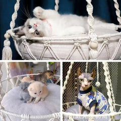 New Pet Hammock Cat Swing Hand Woven Cotton Rope Cats Hanging Basket Kitten Hanging String Den Indoor Pend Nest Pets Supplies - PetPals Store