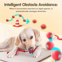 1Pcs Cat Interactive Ball Toys Automatic Rolling Ball Faux Tail Rechargeable Smart Pet Electric Toy Cat Training Imitate Mouse - PetPals Store