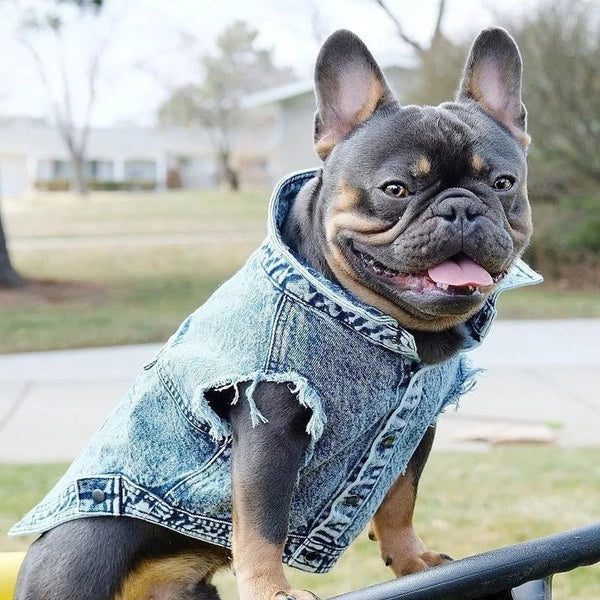 Pet Dog Jeans Jacket Denim Coats Holes Cats Puppy Vest French Bulldog Small Dog Clothes Spring/Autumn Apparel Fashion - PetPals Store