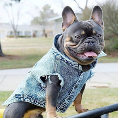 Pet Dog Jeans Jacket Denim Coats Holes Cats Puppy Vest French Bulldog Small Dog Clothes Spring/Autumn Apparel Fashion - PetPals Store