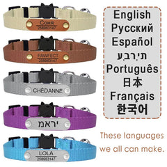 Nylon Cat Collar Personalized Adjustable Breakaway Soft Tag Pet Products Bell Small Dog Kitten Safety Accessories Necklace - PetPals Store
