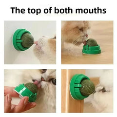 Premium Cat Toys with Catnip Active Mint Dental Sensory Sticks Self Pet Bed Ball Grinding for Indoor Cats - PetPals Store