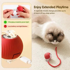 Cat Interactive Ball Toy, Automatic Rolling Ball with Tail, Rechargeable Smart Pet Interactive Toy, Intelligent Mouse for Cat - PetPals Store