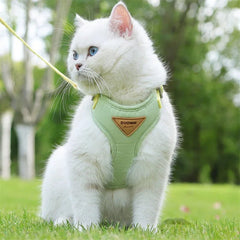 Hot Cat Puppy Outdoor Walking Supplies Fashion Pet Harness and Leash Set for Small Dogs Cats Breathable Durable Kitten Harnesses - PetPals Store