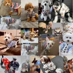 Winter Dog Clothes Chihuahua Soft Puppy Kitten High Striped Cardigan Warm Knitted Sweater Coat Fashion Clothing for Pet Dogs Cat - PetPals Store