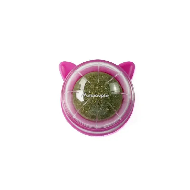 Premium Cat Toys with Catnip Active Mint Dental Sensory Sticks Self Pet Bed Ball Grinding for Indoor Cats - PetPals Store
