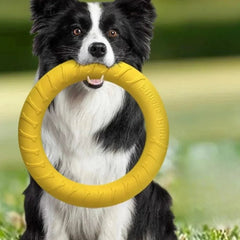 Dog Toy Training Ring Puller Puppy Flying Disk Chewing Toys Throwing Catching Flying Outdoor Interactive Toy Pet Supplies - PetPals Store