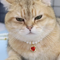 Pet Pearl Collar Dog Princess Necklace Cat Jewelry Cute Collar Puppy Accessories Dog Kitten Chain Chihuahua Wedding Jewelry Gift - PetPals Store