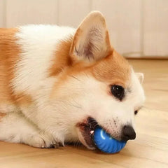 Dog Toy Ball Automatic Moving Bouncing Rolling Ball USB Smart puppy Interactive Dog Chew Toy Ball - PetPals Store