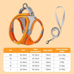 Puppy Harness Set Dog Accessories Adjustable Puppy and Cat Harness Vest French Bulldog Chihuahua Small Dog Collar Pet Leash Dogs - PetPals Store