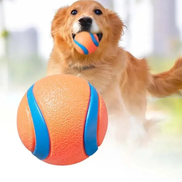 Durable Pet Dog Ball Toys Dog Bouncy Rubber Solid Ball Resistance To Dog Chew Toy Outdoor Throwing And Training For Dogs 강아지 - PetPals Store