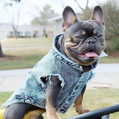 Pet Dog Jeans Jacket Denim Coats Holes Cats Puppy Vest French Bulldog Small Dog Clothes Spring/Autumn Apparel Fashion - PetPals Store