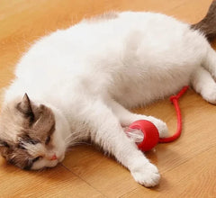 1Pcs Cat Interactive Ball Toys Automatic Rolling Ball Faux Tail Rechargeable Smart Pet Electric Toy Cat Training Imitate Mouse - PetPals Store