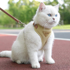 Hot Cat Puppy Outdoor Walking Supplies Fashion Pet Harness and Leash Set for Small Dogs Cats Breathable Durable Kitten Harnesses - PetPals Store