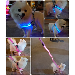 Adjustable LED Dog Harness Usb Rechargeable Flashing Night Safety No Pull Collars Harness For Small Medium Dogs Pets Arnes Perro - PetPals Store