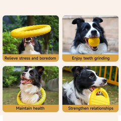 Dog Toy Training Ring Puller Puppy Flying Disk Chewing Toys Throwing Catching Flying Outdoor Interactive Toy Pet Supplies - PetPals Store