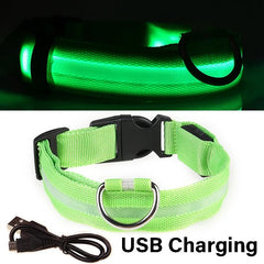 Dog Collar Nylon LED Night Safety Flashing Glow In The Dark Pet Dog Leash pet Dogs Luminous Fluorescent collar dog accessories - PetPals Store