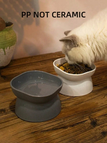 Cat Bowls