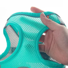 Puppy Harness Set Dog Accessories Adjustable Puppy and Cat Harness Vest French Bulldog Chihuahua Small Dog Collar Pet Leash Dogs - PetPals Store