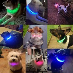 Dog Collar Nylon LED Night Safety Flashing Glow In The Dark Pet Dog Leash pet Dogs Luminous Fluorescent collar dog accessories - PetPals Store