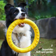 Dog Toy Training Ring Puller Puppy Flying Disk Chewing Toys Throwing Catching Flying Outdoor Interactive Toy Pet Supplies - PetPals Store