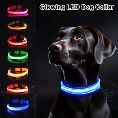 Dog Collar Nylon LED Night Safety Flashing Glow In The Dark Pet Dog Leash pet Dogs Luminous Fluorescent collar dog accessories - PetPals Store