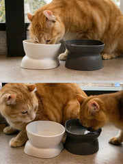 1Pc Pet bowl, water and food feeder, for cat and small dog - PetPals Store
