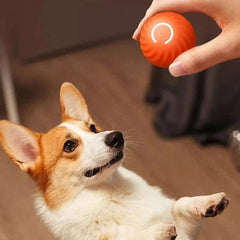 Dog Toy Ball Automatic Moving Bouncing Rolling Ball USB Smart puppy Interactive Dog Chew Toy Ball - PetPals Store