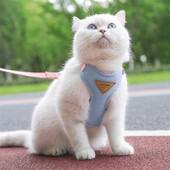 Hot Cat Puppy Outdoor Walking Supplies Fashion Pet Harness and Leash Set for Small Dogs Cats Breathable Durable Kitten Harnesses - PetPals Store