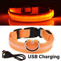 Dog Collar Nylon LED Night Safety Flashing Glow In The Dark Pet Dog Leash pet Dogs Luminous Fluorescent collar dog accessories - PetPals Store