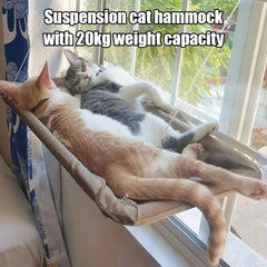 Hanging Cat Hammocks Bed House Kitten Climbing Window Nest Cats Swing Bearing 20kg in winter bathed in sunlight sleeping by cats - PetPals Store
