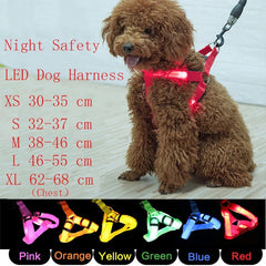 Adjustable LED Dog Harness Usb Rechargeable Flashing Night Safety No Pull Collars Harness For Small Medium Dogs Pets Arnes Perro - PetPals Store