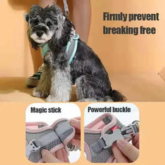 Cats Dog Accessories Small Dog Collar Safety Vest Pet Chest Rope Dogs Cover Breathable Adjustable Harnesses Supplies Products - PetPals Store