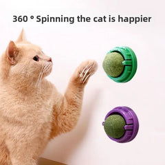 Premium Cat Toys with Catnip Active Mint Dental Sensory Sticks Self Pet Bed Ball Grinding for Indoor Cats - PetPals Store